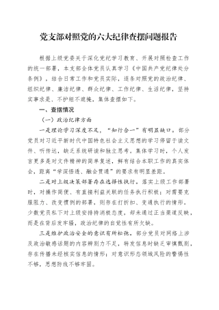 党支部对照党的六大纪律查摆问题报告