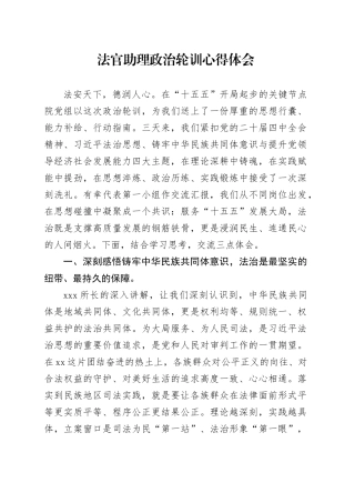 法官助理政治轮训心得体会