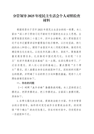 分管领导2025年度民主生活会个人对照检查材料20260211