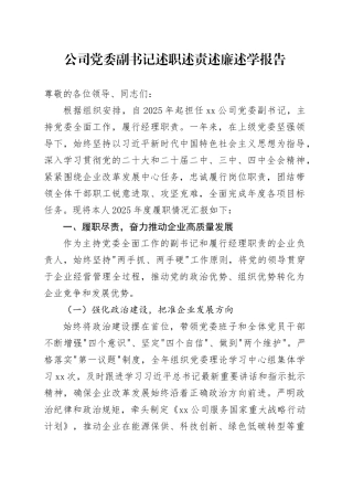 公司党委副书记述职述责述廉述学报告