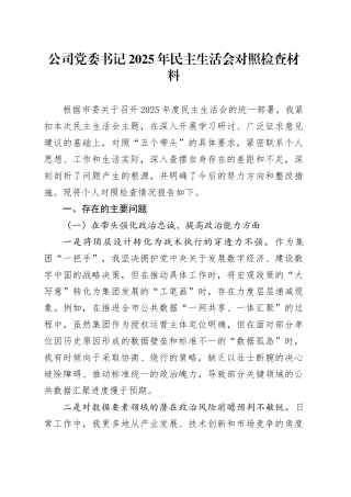 公司党委书记2025年民主生活会对照检查材料20260211