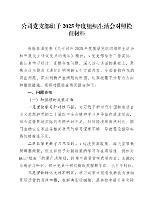 公司党支部班子2025年度组织生活会对照检查材料20260226