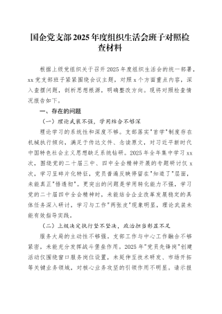 国企党支部2025年度组织生活会班子对照检查材料20260304