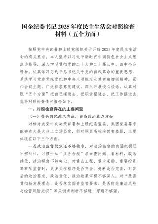 国企纪委书记2025年度民主生活会对照检查材料（五个方面）20260211