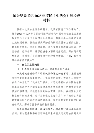 国企纪委书记2025年度民主生活会对照检查材料20260224
