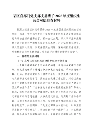 某区直部门党支部支委班子2025年度组织生活会对照检查材料20260302