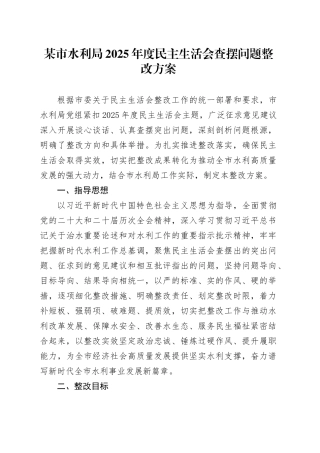 某市水利局2025年度民主生活会查摆问题整改方案20260211
