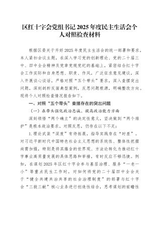 区红十字会党组书记2025年度民主生活会个人对照检查材料20260211