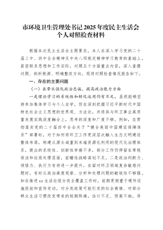 市环境卫生管理处书记2025年度民主生活会个人对照检查材料20260224
