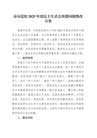 市局党组2025年度民主生活会查摆问题整改方案20260211