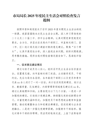 市局局长2025年度民主生活会对照检查发言提纲20260224
