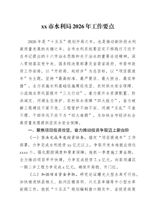 市水利局2026年工作要点
