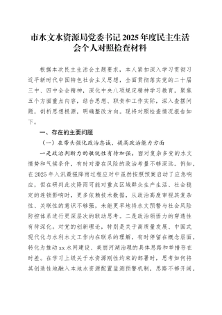 市水文水资源局党委书记2025年度民主生活会个人对照检查材料20260211