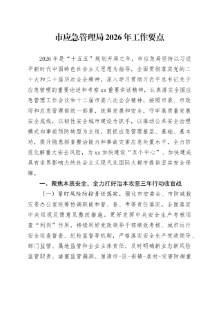 市应急管理局2026年工作要点