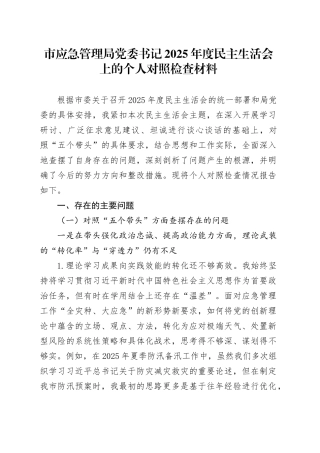 市应急管理局党委书记2025年度民主生活会上的个人对照检查材料20260206
