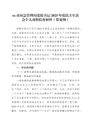 市应急管理局党组书记2025年度民主生活会个人对照检查材料（带案例）20260121