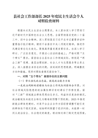 县社会工作部部长2025年度民主生活会个人对照检查材料20260224