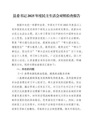 县委书记2025年度民主生活会对照检查报告20260211