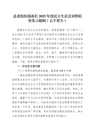 县委组织部部长2025年度民主生活会对照检查发言提纲（五个带头）20260211