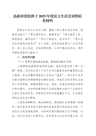 县政府党组班子2025年度民主生活会对照检查材料20260211