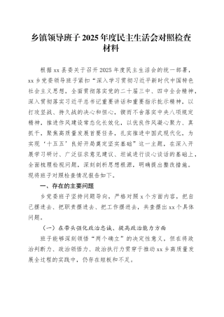 乡镇街道领导班子2025年度民主生活会对照检查材料20260213