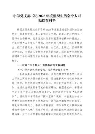 小学党支部书记2025年度组织生活会个人对照检查材料20260211