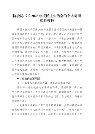 协会秘书长2025年度民主生活会的个人对照检查材料20260211