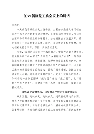 在XX新区党工委会议上的讲话