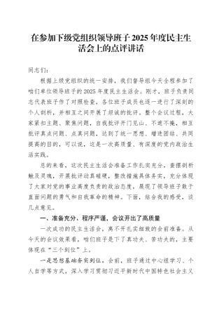 在参加下级党组织领导班子2025年度民主生活会上的点评讲话20260211