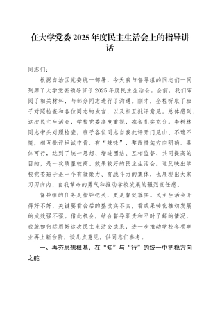 在大学党委2025年度民主生活会上的指导讲话20260206