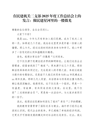 在民建机关二支部2025年度工作总结会上的发言：做民建星河里的一缕微光