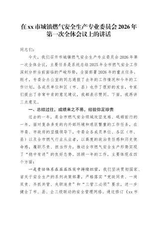 在市城镇燃气安全生产专业委员会2026年第一次全体会议上的讲话