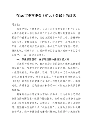 在市委常委会（扩大）会议上的讲话 （2）