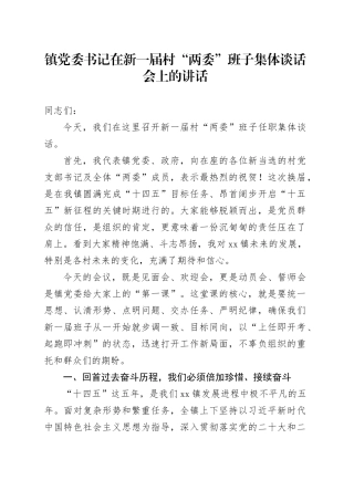 镇党委书记在新一届村“两委”班子集体谈话会上的讲话