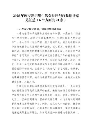 2025年度专题组织生活会批评与自我批评意见汇总（6个方面共21条）20260312