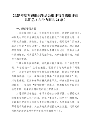 2025年度专题组织生活会批评与自我批评意见汇总（六个方面共24条）20260310