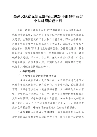 高速大队党支部支部书记2025年组织生活会个人对照检查材料