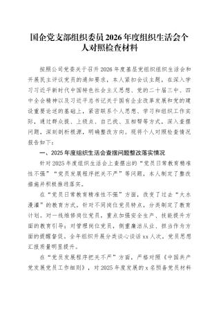 国企党支部组织委员2026年度组织生活会个人对照检查材料