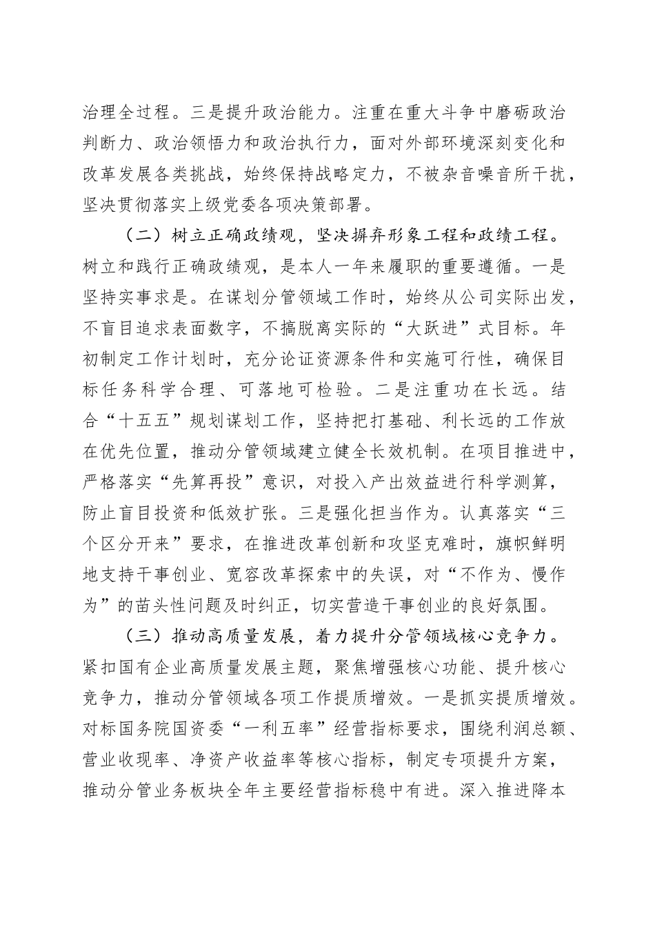 国企副职2025年度述职报告_第2页