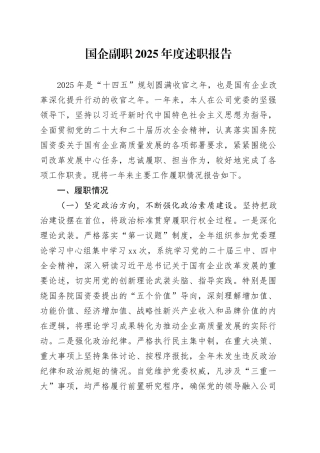 国企副职2025年度述职报告
