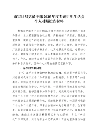 市审计局党员干部2025年度专题组织生活会个人对照检查材料20260312