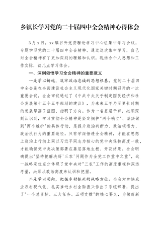 乡镇长学习党的二十届四中全会精神心得体会