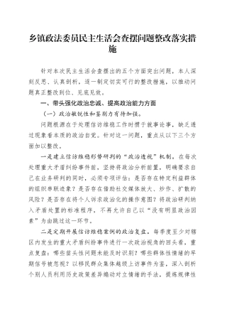 乡镇政法委员民主生活会查摆问题整改落实措施20260310