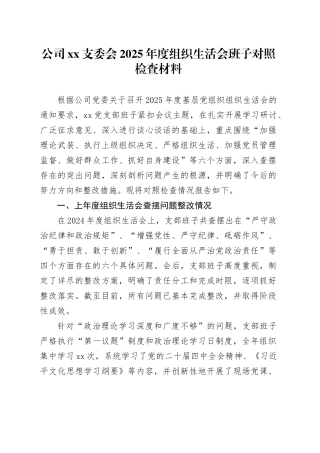 公司XX支委会2025年度组织生活会班子对照检查材料