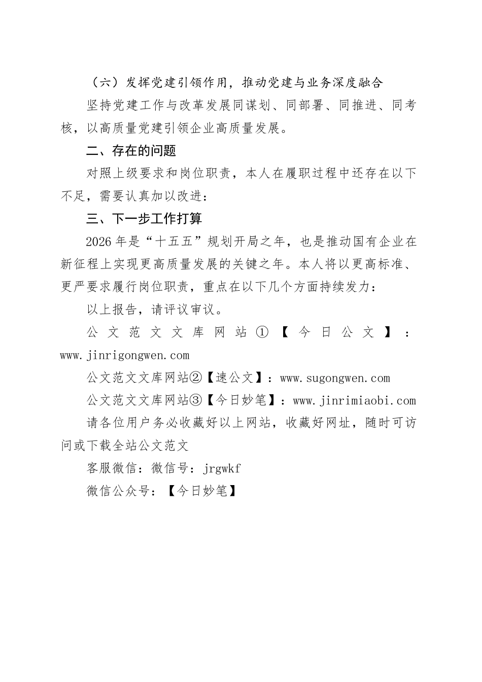 国企副职2025年度述职报告_第2页
