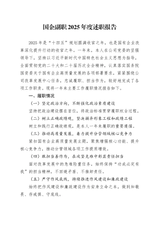 国企副职2025年度述职报告