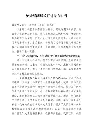 统计局副局长研讨发言材料