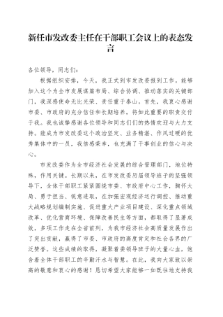 新任市发改委主任在干部职工会议上的表态发言