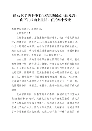 在区名班主任工作室启动仪式上的发言：向下扎根向上生长，在托举中发光