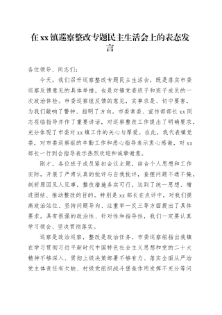 在镇巡察整改专题民主生活会上的表态发言20260316